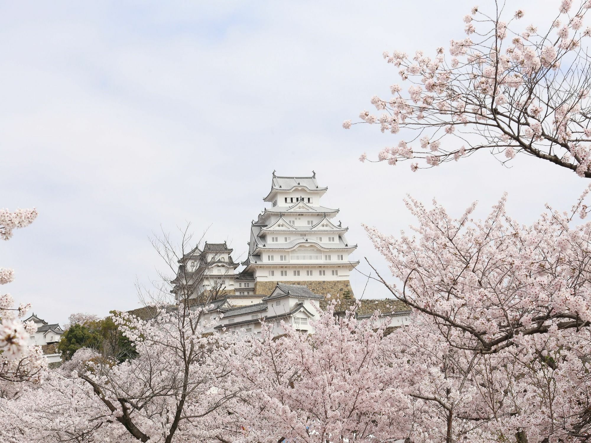 Apa Hotel Himeji Ekikita Esterno foto